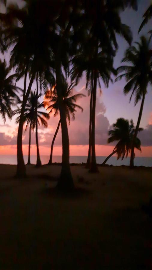 Mystic Maldives Mathiveri Retreat Bagian luar foto